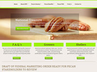 American Pecan Board Website